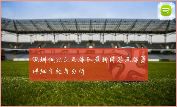 深圳佳兆业足球队最新阵容及球员详细介绍与分析