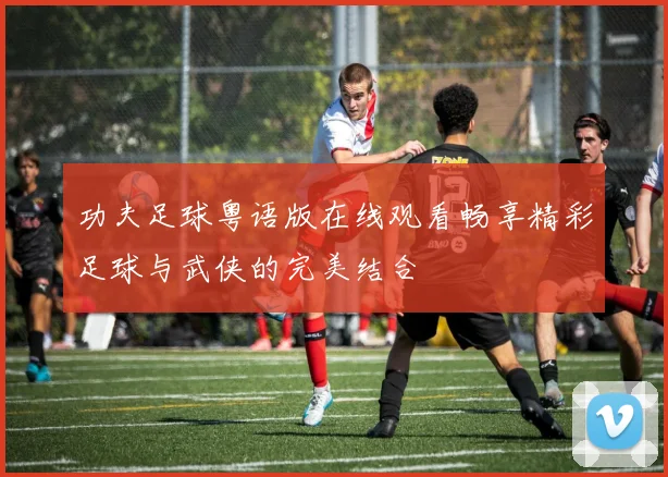 功夫足球粤语版在线观看畅享精彩足球与武侠的完美结合